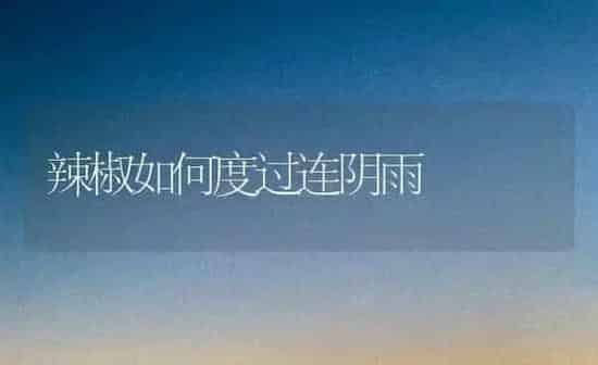 推荐几个品质优良的花椰菜品种 | 蔬菜种植