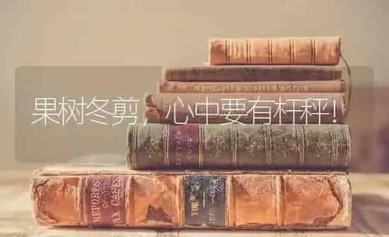 小麦除草正当时 | 粮油作物种植