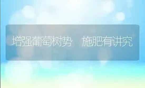 增强葡萄树势 施肥有讲究 | 种植肥料施肥