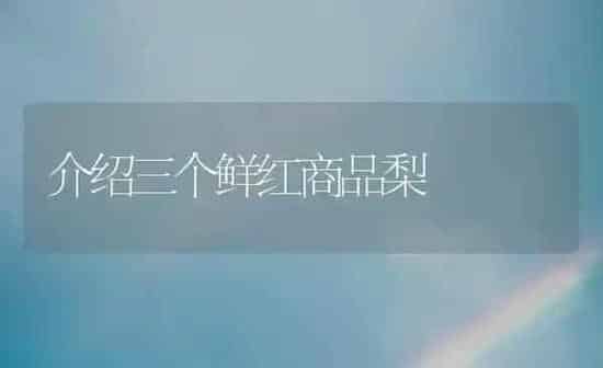 减少农药残留几种方法 | 种植病虫害防治