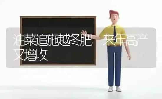 油菜追施越冬肥 来年高产又增收 | 粮油作物种植
