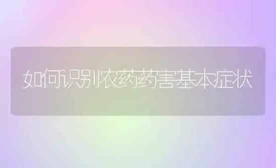 如何识别农药药害基本症状 | 种植病虫害防治