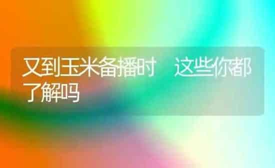 又到玉米备播时 这些你都了解吗 | 粮油作物种植