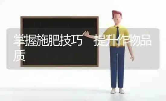 掌握施肥技巧 提升作物品质 | 种植肥料施肥