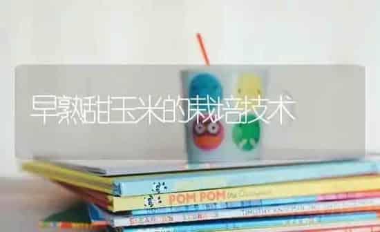 早熟甜玉米的栽培技术 | 粮油作物种植