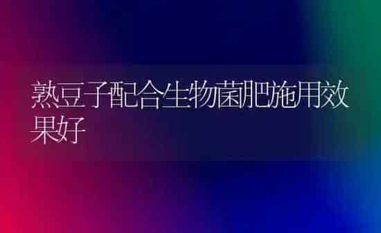 熟豆子配合生物菌肥施用效果好 | 瓜果种植
