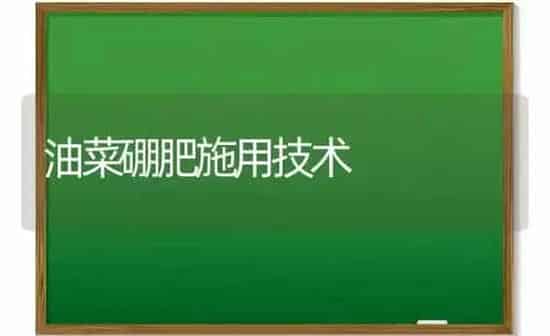 油菜硼肥施用技术 | 粮油作物种植