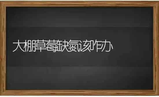 大棚草莓缺氮该咋办 | 瓜果种植