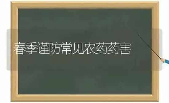 春季谨防常见农药药害 | 种植病虫害防治