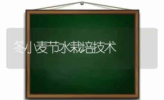 冬小麦节水栽培技术 | 粮油作物种植