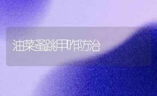 油菜蚤跳甲咋防治 | 粮油作物种植