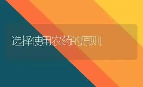 选择使用农药的原则 | 种植病虫害防治