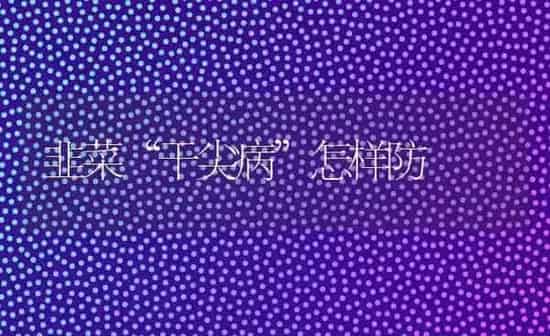 韭菜“干尖病”怎样防 | 蔬菜种植