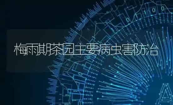 梅雨期茶园主要病虫害防治 | 种植病虫害防治