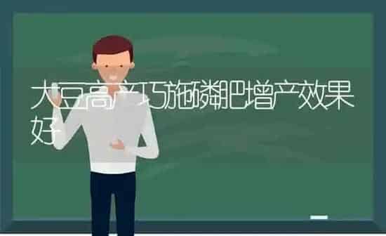 大豆高产巧施磷肥增产效果好 | 瓜果种植