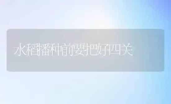 水稻播种前要把好四关 | 粮油作物种植