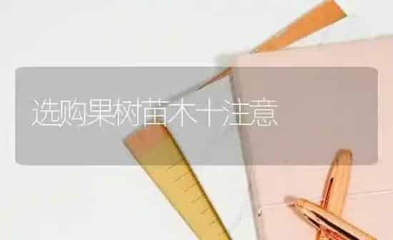 选购果树苗木十注意 | 瓜果种植