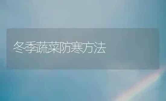 冬季蔬菜防寒方法 | 蔬菜种植