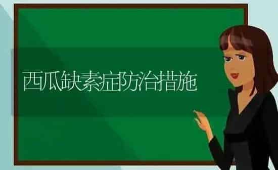 西瓜缺素症防治措施 | 瓜果种植