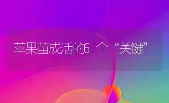 苹果苗成活的6个“关键” | 瓜果种植