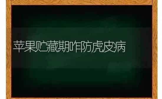 巧施肥可防梨树黄化病 | 种植肥料施肥