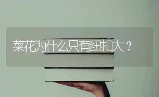 果树发生药害 如何快速“解毒” | 瓜果种植
