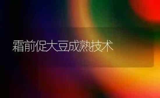 霜前促大豆成熟技术 | 粮油作物种植