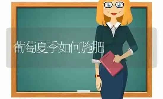 葡萄夏季如何施肥 | 种植肥料施肥