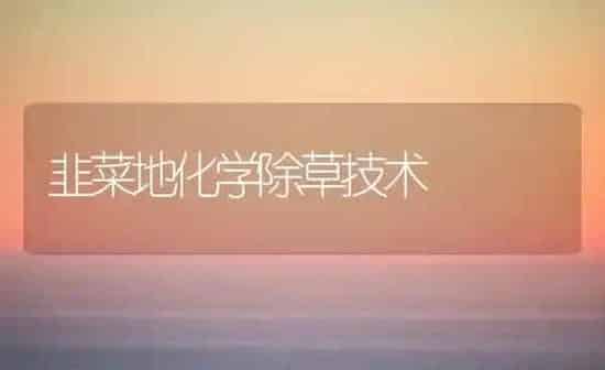 韭菜地化学除草技术 | 蔬菜种植