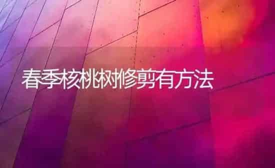 春季核桃树修剪有方法 | 瓜果种植
