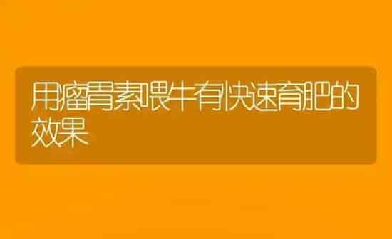 用瘤胃素喂牛有快速育肥的效果 | 瓜果种植