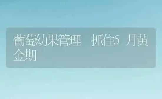 葡萄幼果管理 抓住5月黄金期 | 瓜果种植
