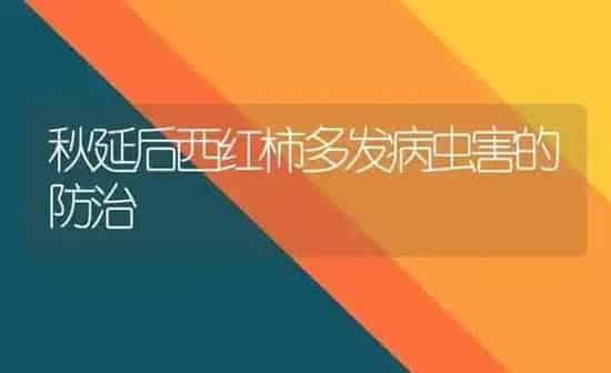 秋延后西红柿多发病虫害的防治 | 种植病虫害防治