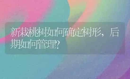 新栽桃树如何确定树形,后期如何管理? | 瓜果种植