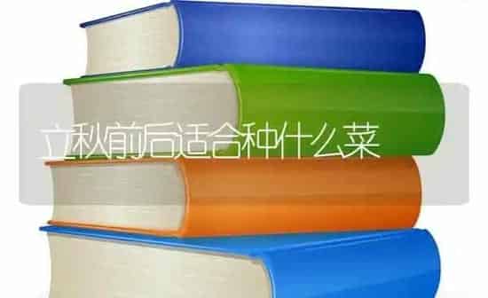 立秋前后适合种什么菜 | 蔬菜种植