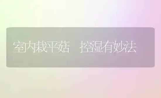 室内栽平菇 控湿有妙法 | 食用菌种植