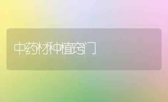 中药材种植窍门 | 药材种植