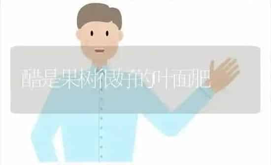 醋是果树很好的叶面肥 | 瓜果种植