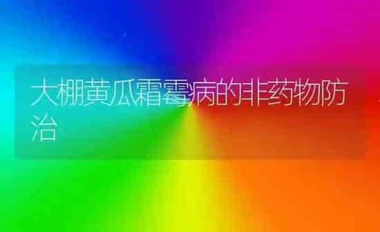 大棚黄瓜霜霉病的非药物防治 | 蔬菜种植