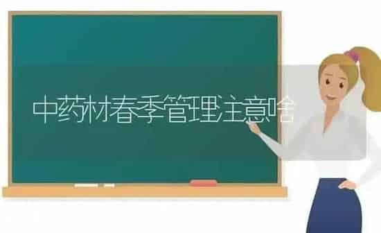 中药材春季管理注意啥 | 药材种植