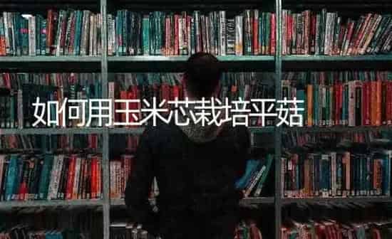 如何用玉米芯栽培平菇 | 食用菌种植