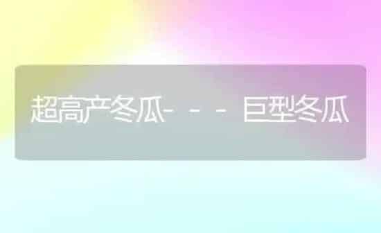 超高产冬瓜---巨型冬瓜 | 蔬菜种植