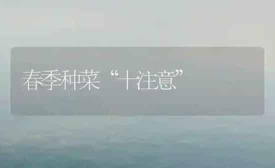 春季种菜“十注意” | 蔬菜种植