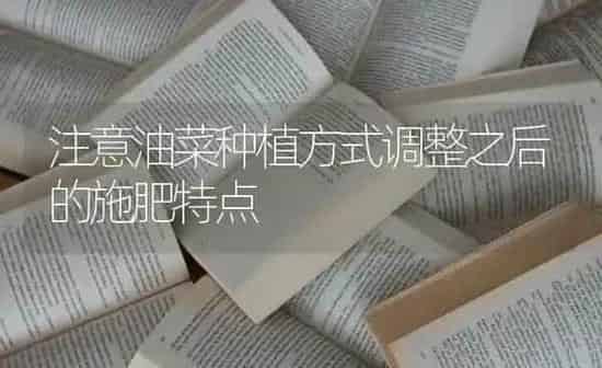 注意油菜种植方式调整之后的施肥特点 | 粮油作物种植