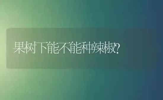 果树下能不能种辣椒？ | 瓜果种植