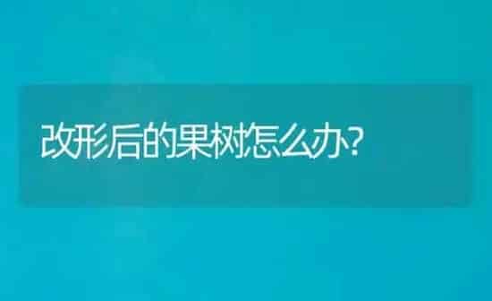 改形后的果树怎么办？ | 瓜果种植