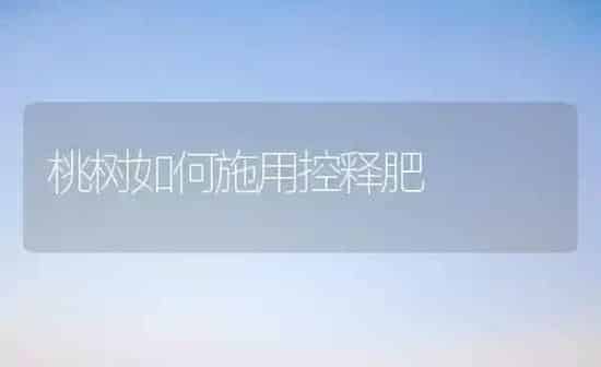 桃树如何施用控释肥 | 瓜果种植