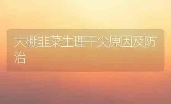 大棚韭菜生理干尖原因及防治 | 蔬菜种植