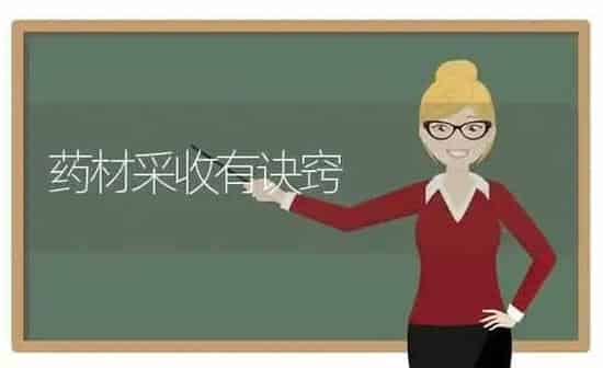 药材采收有诀窍 | 药材种植