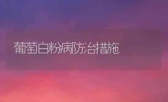葡萄白粉病防治措施 | 瓜果种植